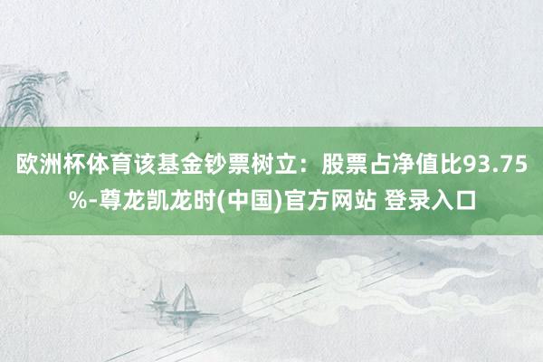 欧洲杯体育该基金钞票树立：股票占净值比93.75%-尊龙凯龙时(中国)官方网站 登录入口