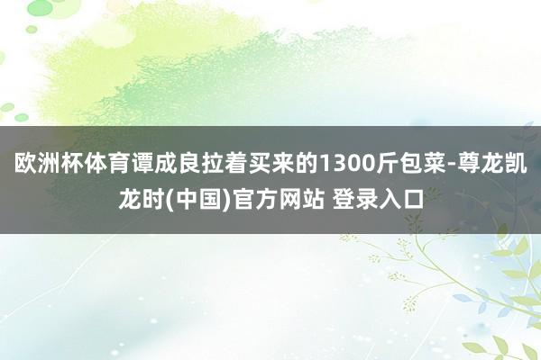 欧洲杯体育谭成良拉着买来的1300斤包菜-尊龙凯龙时(中国)官方网站 登录入口