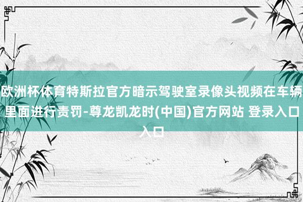 欧洲杯体育特斯拉官方暗示驾驶室录像头视频在车辆里面进行责罚-尊龙凯龙时(中国)官方网站 登录入口