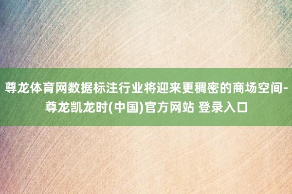 尊龙体育网数据标注行业将迎来更稠密的商场空间-尊龙凯龙时(中国)官方网站 登录入口