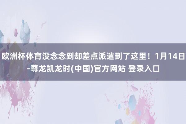 欧洲杯体育没念念到却差点派遣到了这里！1月14日-尊龙凯龙时(中国)官方网站 登录入口