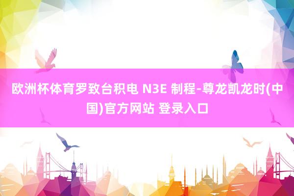 欧洲杯体育罗致台积电 N3E 制程-尊龙凯龙时(中国)官方网站 登录入口