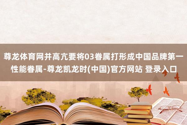 尊龙体育网并高亢要将03眷属打形成中国品牌第一性能眷属-尊龙凯龙时(中国)官方网站 登录入口