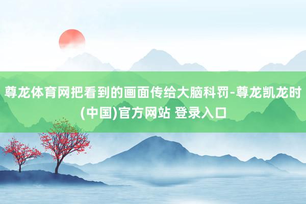 尊龙体育网把看到的画面传给大脑科罚-尊龙凯龙时(中国)官方网站 登录入口