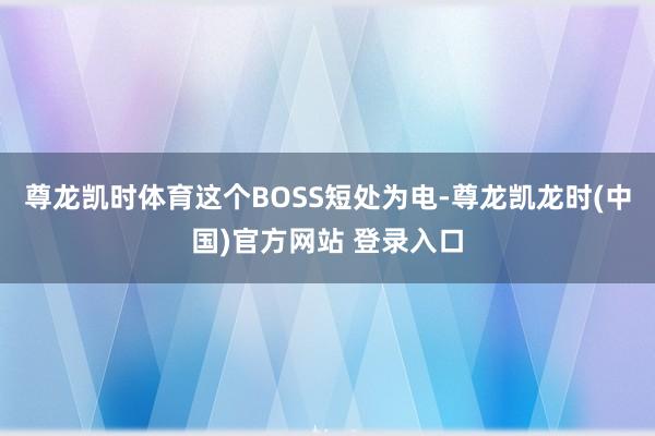尊龙凯时体育这个BOSS短处为电-尊龙凯龙时(中国)官方网站 登录入口