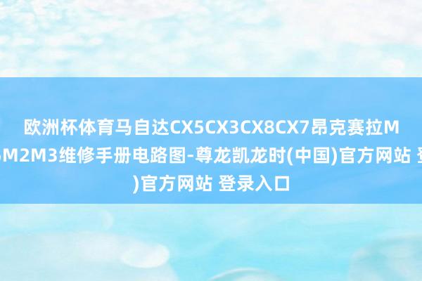 欧洲杯体育马自达CX5CX3CX8CX7昂克赛拉M8M6M5M2M3维修手册电路图-尊龙凯龙时(中国)官方网站 登录入口