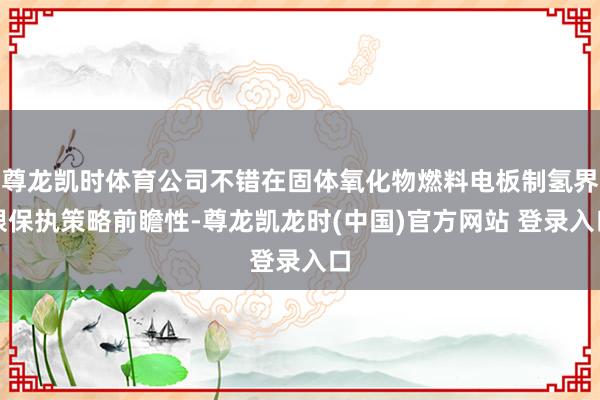 尊龙凯时体育公司不错在固体氧化物燃料电板制氢界限保执策略前瞻性-尊龙凯龙时(中国)官方网站 登录入口