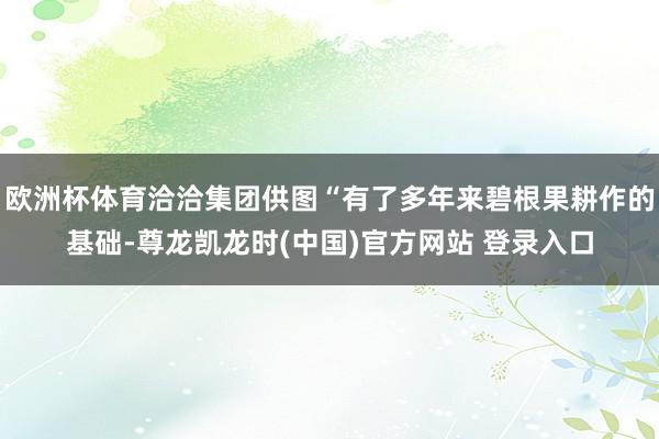 欧洲杯体育洽洽集团供图“有了多年来碧根果耕作的基础-尊龙凯龙时(中国)官方网站 登录入口