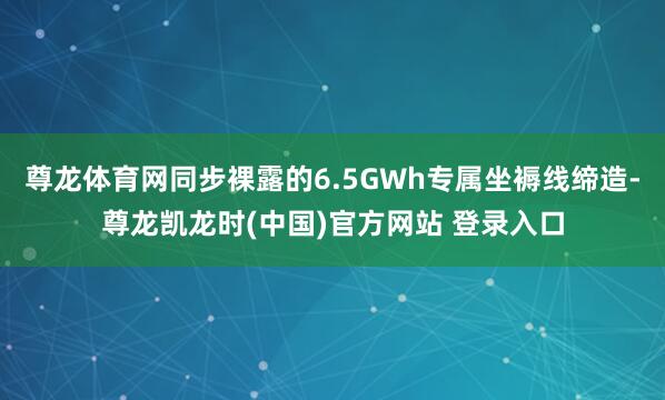 尊龙体育网同步裸露的6.5GWh专属坐褥线缔造-尊龙凯龙时(中国)官方网站 登录入口