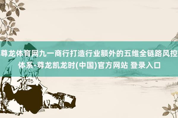 尊龙体育网九一商行打造行业额外的五维全链路风控体系-尊龙凯龙时(中国)官方网站 登录入口